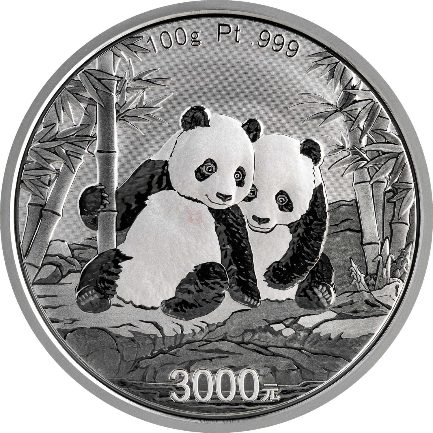 2026版熊貓100克普制鉑質紀念幣