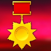 2013年12月：定制空軍航空兵42師戰(zhàn)友聚會金質(zhì)紀念獎?wù)? title=