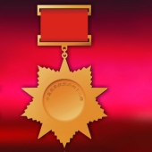 2013年12月：定制空軍航空兵42師戰(zhàn)友聚會榮譽獎章