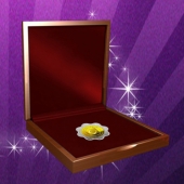 2013年8月：廣州金幣廠設(shè)計(jì)訂制萬(wàn)達(dá)金包銀紀(jì)念章定做