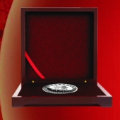 2016年3月訂做　西安陜西楊氏宗親會(huì)懇親純銀紀(jì)念章訂做