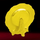 2016年6月定制　安康市漢濱區(qū)優(yōu)秀黨務(wù)工作者獎(jiǎng)牌錫盤擺件