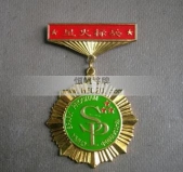 國(guó)家科技部農(nóng)業(yè)部星火標(biāo)兵獎(jiǎng)?wù)聞渍履０? title=