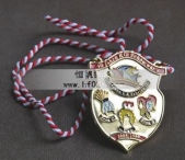 卡通獲獎(jiǎng)掛牌金牌,持繩掛牌獎(jiǎng)牌,紀(jì)念彩畫(huà)獎(jiǎng)牌