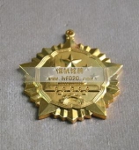 江門市政府金質功勛章,功臣勛章,功臣獎章