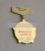 國(guó)家電網(wǎng)電力公司先進(jìn)工作者獎(jiǎng)?wù)?先進(jìn)工作者勛章