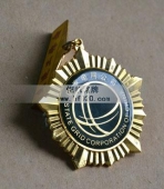 國(guó)家電網(wǎng)電力公司先進(jìn)工作者獎(jiǎng)?wù)?先進(jìn)工作者勛章